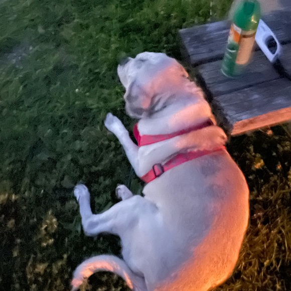 Meet your Posher, Bethany - Picture 6 of 7